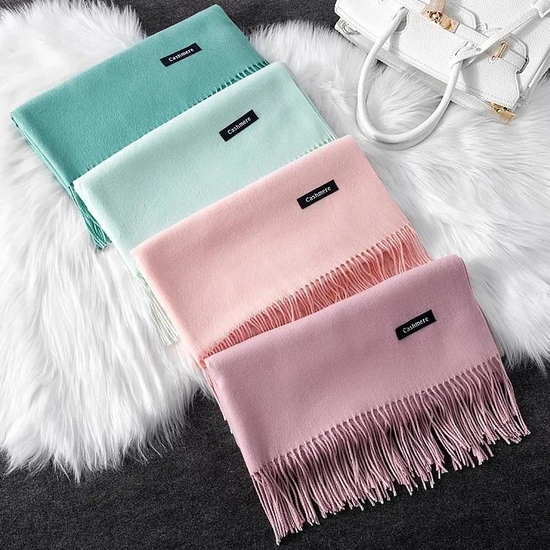 Women's Winter Scarf Korean Style Pure Color Imitation Cashmere Thick All Match Shawl Warm Long Bib Casual Outdoor Solid Tassel Wrap Shawl Neck Scarf