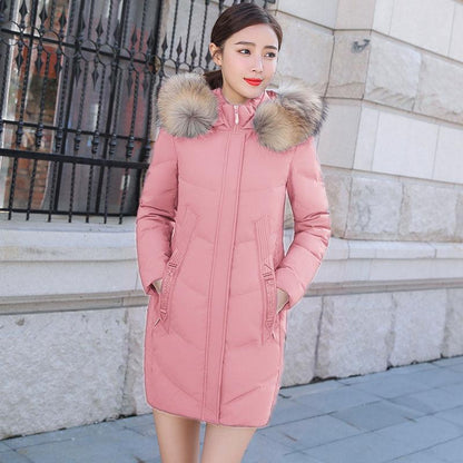 Warm Jacket Fashion Large Size Down Jacket Winter Woman's Cotton Clothing Woman's Winter Long Sleeve