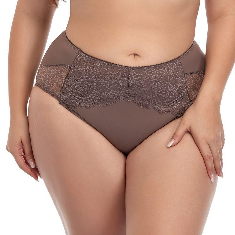 4pcs Sexy Lace Panties Plus Size Ladies Briefs High Waist Plus Size Mummy Pants XL-6X