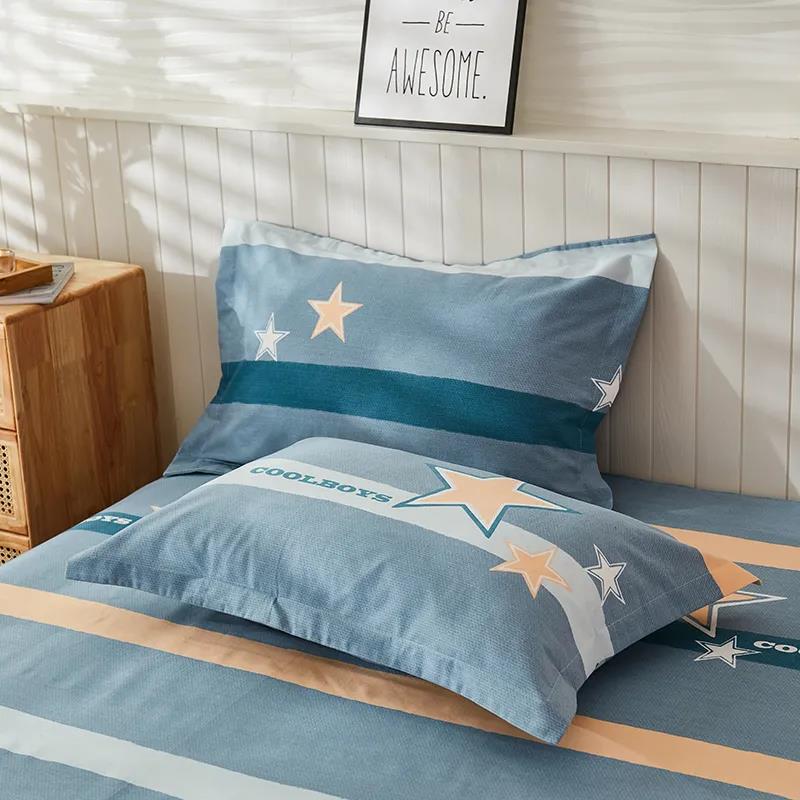 Two-piece Pillowcase Modern Minimalist Thickened Brushed Pillowcase Double Bedroom Pillowcase 48*74cm