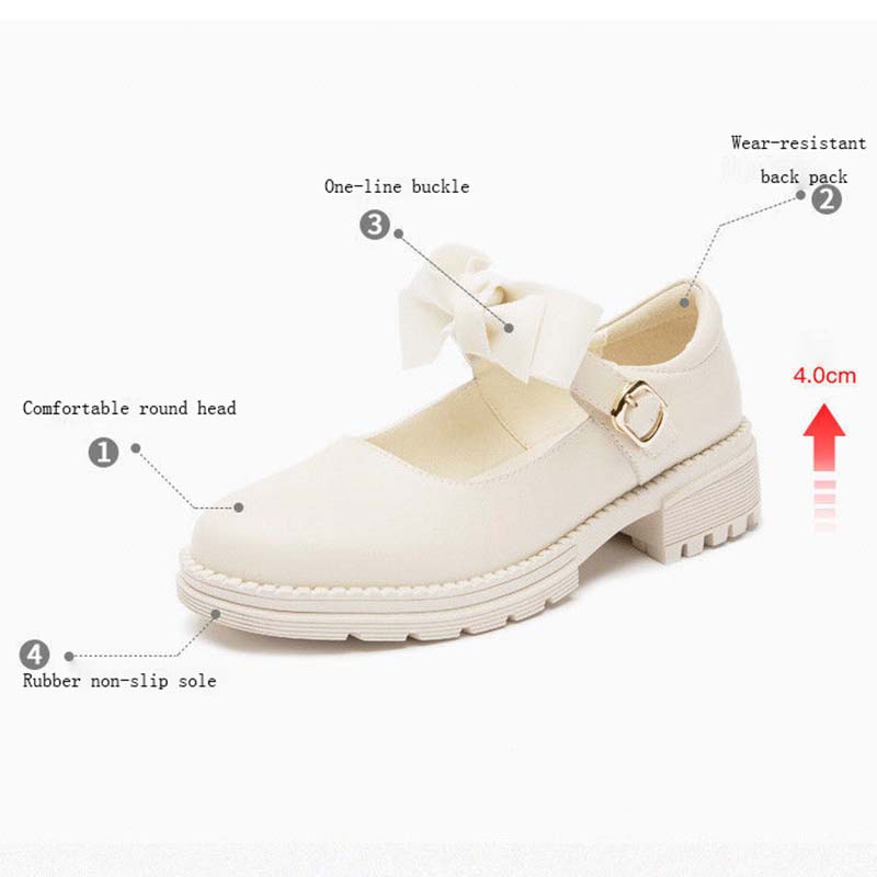 Thick-heeled Gentle Shoes Women's Spring and Summer Women's Shoes All-match Shallow Mouth Single Shoes Fairy Small Leather Shoes