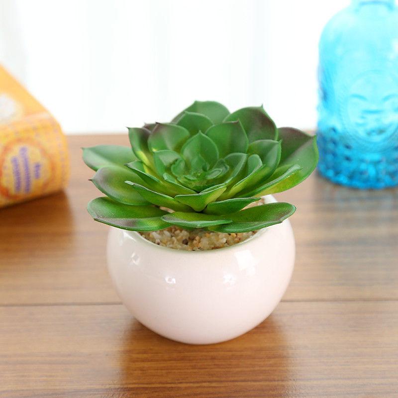 Artificial Flowers Simulation Succulents Potted Creative Living Room Desktop Green Plants Ornaments Objects Shelf Decorations