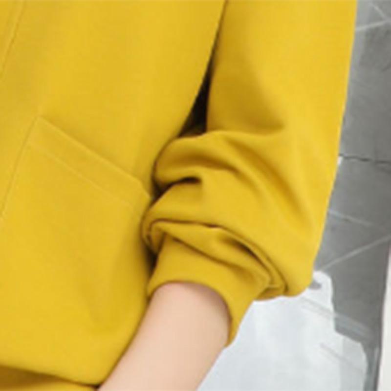 Standing Collar Zipper Jacket Western Style Shows Thin Versatile Fashion Casual Sports Sweater Women's Solid Color Jacket