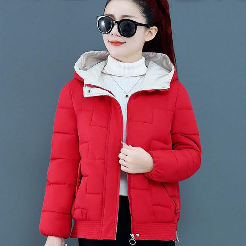 Winter Hooded Down Jacket Fashion Printing Solid Color Down Jacket Thickened Warmth Short Cotton Jacket for Women