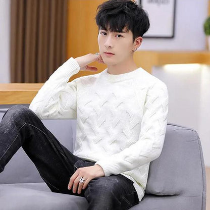 Men's Twisted Low Collar Warm Sweater Solid Color Long Sleeve Slim Top All-match Fashion Jacket