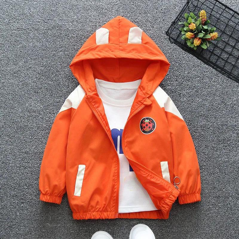 Children's Clothing Boy Jacket Autumn Clothing 2021 Children's Hooded Zipper Clothing Middle and Small Children Spring and Autumn Korean Version