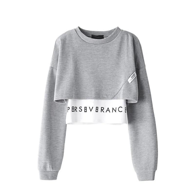 Two-piece Long-sleeved Tops Pure Cotton Sweater Women Korean Spring Autumn Design Sense Letter Printing T-shirt Fake