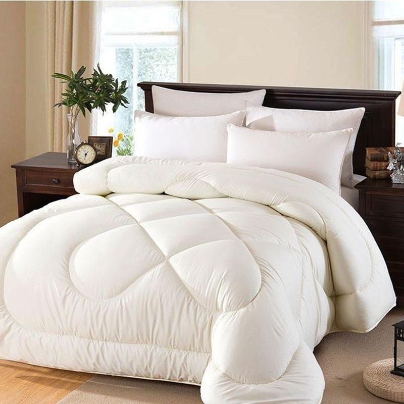 100% Authentic Thick Warmth Silk Quilt Double Spring and Autumn Mulberry Silk Quilt Winter Bedding