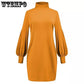 Turtleneck Sweater Dress Women Autumn Winter Elegant Vintage Lantren Sleeve Solid Loose Knit Pullover Sweaters Dresses Vestidos