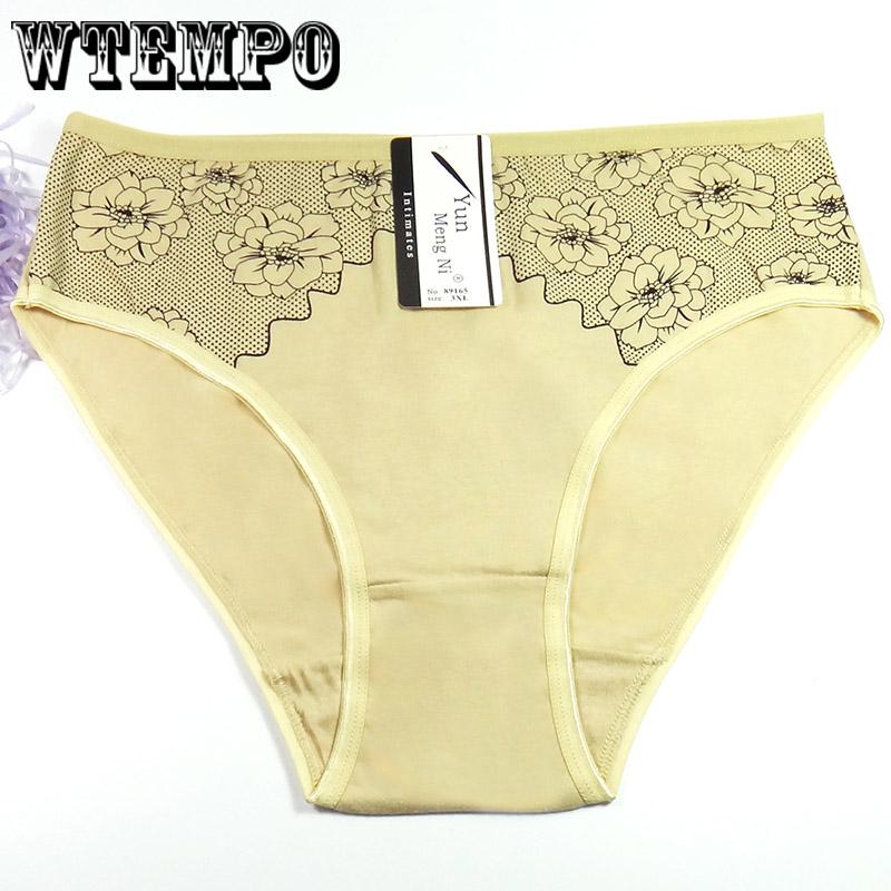 6 Pcs/Lot Plus Size Women Underwear Panties Seamless Sexy Briefs Panties for fat women cotton