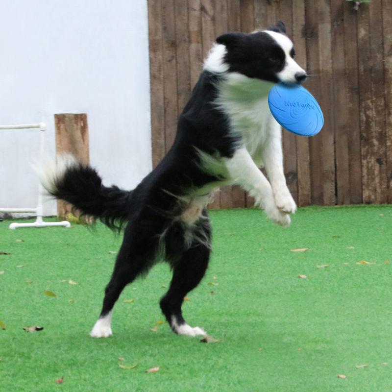 Fashionable Pet Dog Frisbee Pet Toy Frisbee Dog Silicone Resistant Frisbee Floating Training Throwing Toy