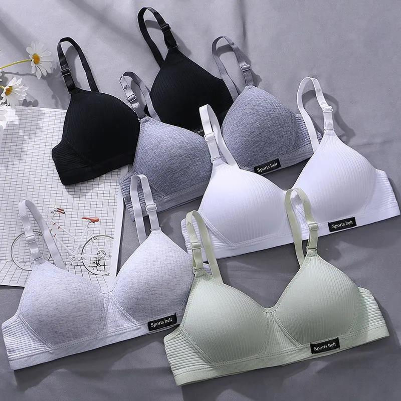 Korean Version of Pure Cotton Skin-friendly Breathable Sweat-absorbing Thread Thin No Steel Ring Small Chest Gathered Women's Underwear Bra