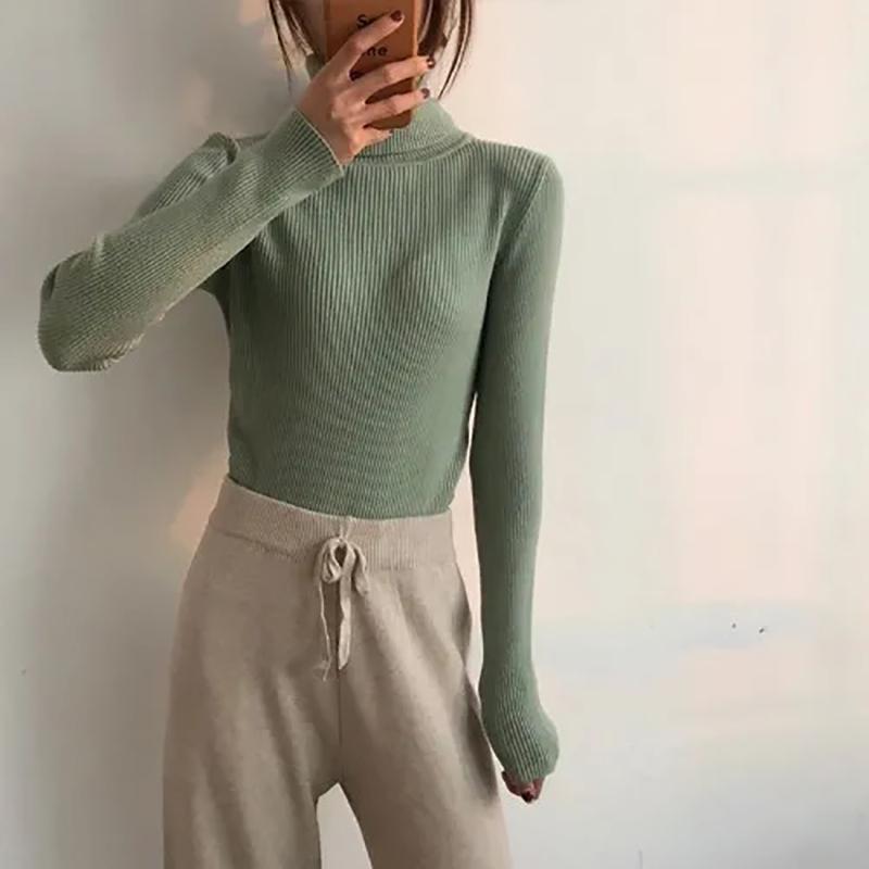 Winter Turtleneck Sweater Women Thick Warm Solid Long Sleeve High Neck Sweaters Slim Knitted Jumper Fashion Fall Pullovers Women Casual Top Clothes