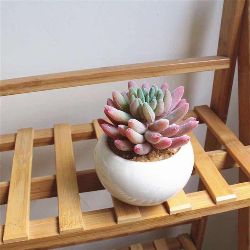 Artificial Flowers Simulation Succulents Potted Creative Living Room Desktop Green Plants Ornaments Objects Shelf Decorations