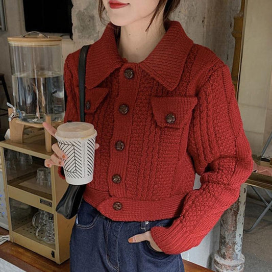 Autumn  Winter Twist Sweater Cardigan Female Loose Student Thick Wool Casual Short Knit Sweater Coat