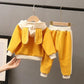 2021 Spring Fall Kids Clothes Baby Cotton Sports Hooded Sweater Shirt Pants Sets Children Kids Casual Suit