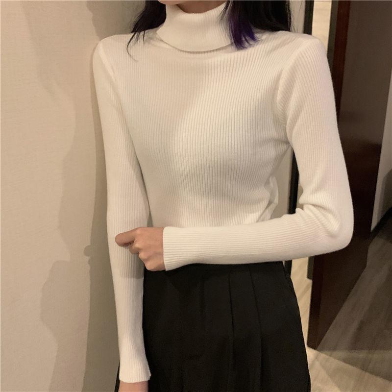 Turtleneck Sweaters Women Autumn Winter High Neck Pullover Sweaters Knitted Jumpers Solid Casual Slim Long Sleeve Basic Tops