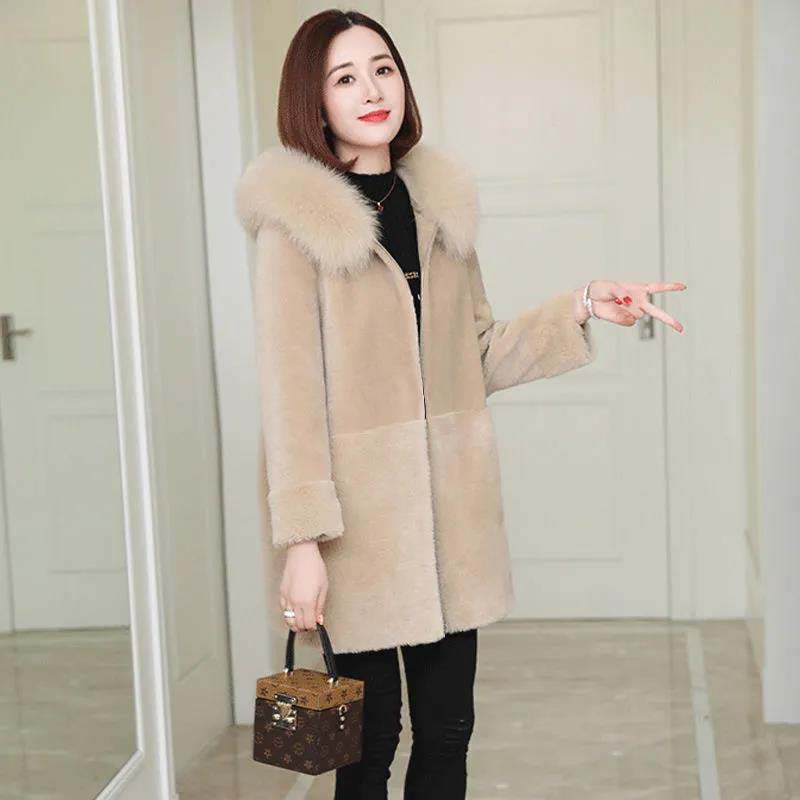 Fur Fox Fur Collar Jacket Female Grain Wool Sheep Shearing Fleece Autumn and Winter Warm Hooded Thick Plus Cotton Loose Top