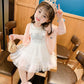 Girls Dress Summer Children Cake Dress Super Western Princess Dress Fairy Net Gauze Dress