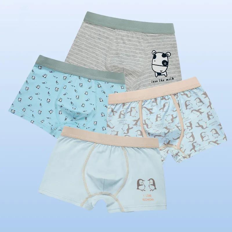 Cotton Panties Boys Brief Underwear Shool Kids Underpanties for 3 4 6 8 10 12 14 Years Old Child Clothes