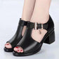 Fish Mouth Sandals Women's Buckle Velcro Outer Wear Thick Heels Middle-heeled Thick Shoes Middle-aged Mother Shoes