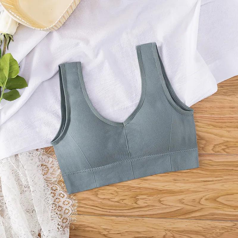 Korean Version of The Shock-proof Sling Gathered No Steel Ring Beautiful Back Elastic Skin-friendly Breathable Vest Type Women's Underwear Bra