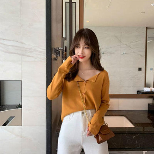 Autumn and Winter Knitted Loose Bottoming Shirt All-match Long-sleeved Solid Color Tops Fashion Simple Women's Sweaters