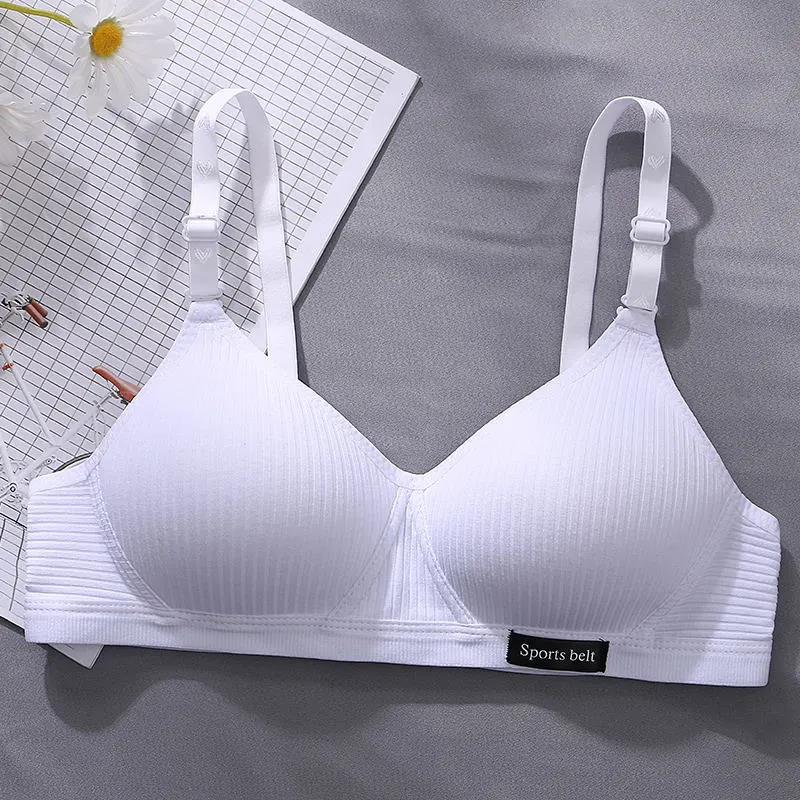 Korean Version of Pure Cotton Skin-friendly Breathable Sweat-absorbing Thread Thin No Steel Ring Small Chest Gathered Women's Underwear Bra