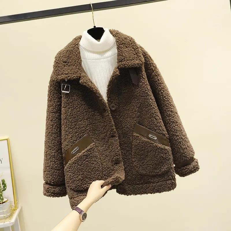 Lamb Plush Fur Coat Women's Autumn and Winter Korean Short Grained Small Coat