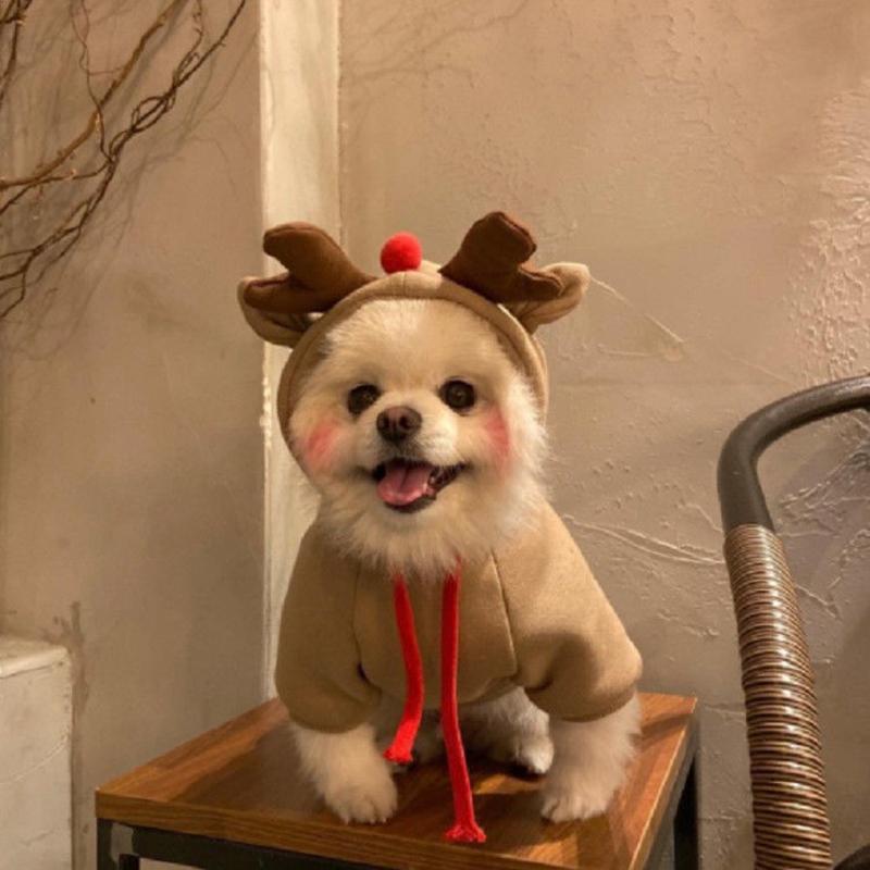 Dog's Winter Clothes Cute Fruit Dog Coat Hoodies Pet Dogs Costume Jacket Carrot Banana Fog Puppy Drawstring Hoodie Pet Warm Clothing Jumpsuit Outwear