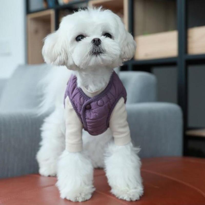 Autumn Winter Cotton Vest for Pet Bichon Teddy Pomeranian Cat Small Dog Puppy Warm Thick Vest Clothes Pet Doggy Sleeveless Jacket Coat Pet Supplies