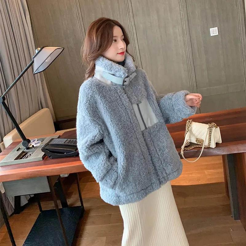 Fur One-piece Stand-up Collar Imitation Lamb Fur Jacket Women Autumn and Winter Jacket All-match Blouse