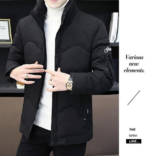 Winter Thick Warm Men's Jacket Short Stand Collar Slim Down Padded Jacket Loose Casual Parker Clothing