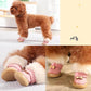 Pet Dog Shoes Teddy Autumn Winter Models for Small Dogs Plus Velvet Warmth Breathable Non-slip Soft Bottom Wear-resistant Boots Pet Cat Walking Shoes