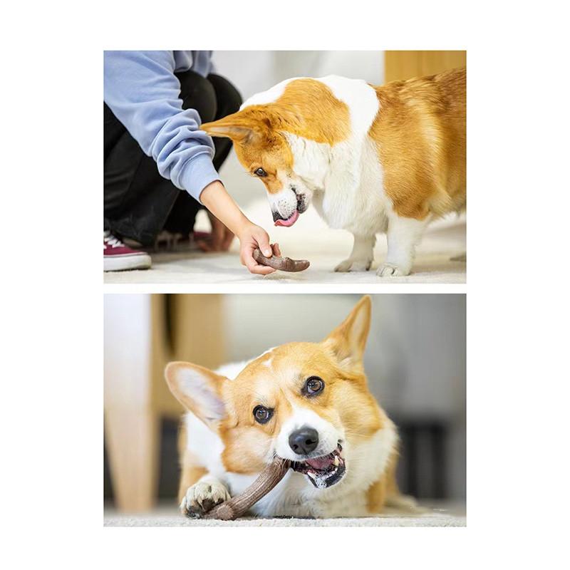 Toy Dog Molar Puppies Medium and Large Dog Supplies Wood Plastic Antlers Bite Resistant Corgi Shiba Play Fun Chewing Toy Dog Cats Grind Teeth Toy