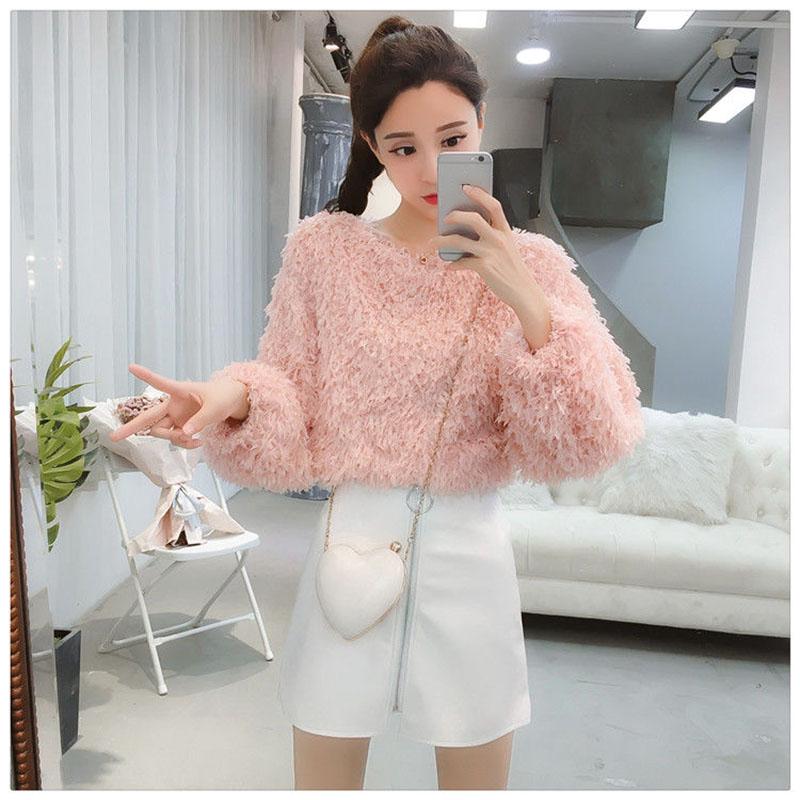 Mink Autumn Fashion Sweater Korean Loose Slim Pullover Short Casual Young Women's Jacket