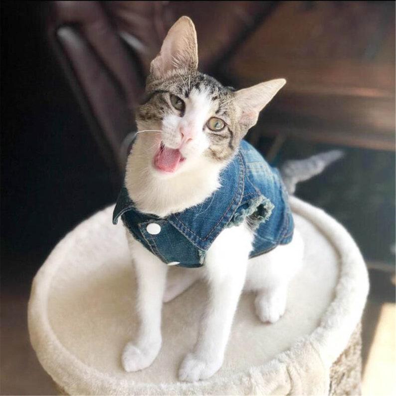 Denim Cat Clothes for Cats Fashion Cat Coat Jacket Warm Outfits Lovely Pet Cat Clothing Casual Jeans Outfits for Dogs Costume