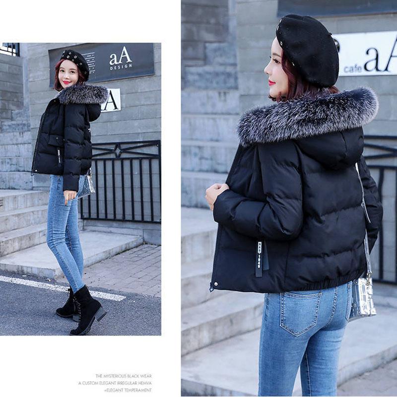 Cotton-padded Jacket Women's Winter Short Student Korean Version of Loose Padded Jacket Down Padded Jacket Female Tide Ins