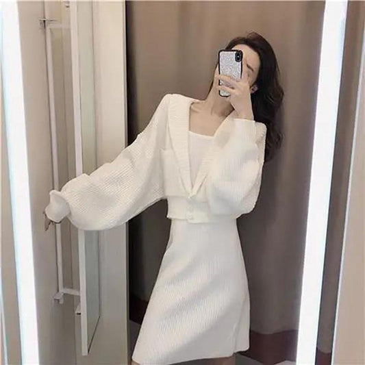 Autumn Knitted Suit Skirt Female French Casual Temperament Black and White Solid Color Sweater Two-piece Suit