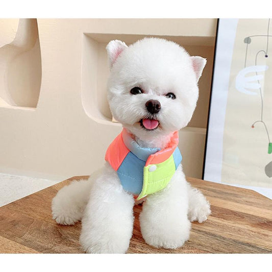 Rainbow Gradient Color Pulled Vest Pet Dog Clothes Teddy Bomei Bichon Cat Small Dogs Winter Warm Cotton Clothes Pet's Outdoor Vest Outfit Clothing