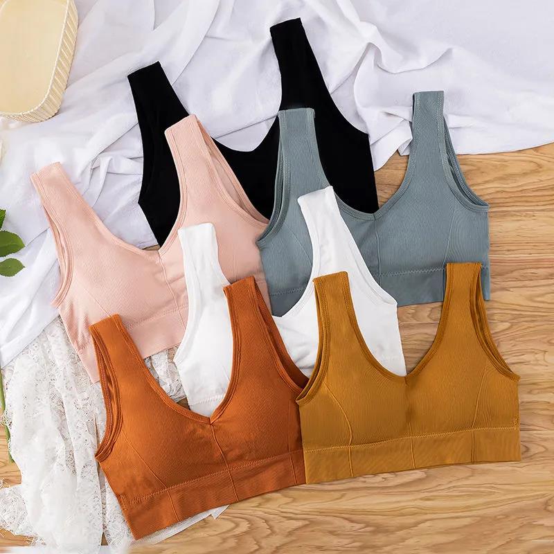 Korean Version of The Shock-proof Sling Gathered No Steel Ring Beautiful Back Elastic Skin-friendly Breathable Vest Type Women's Underwear Bra