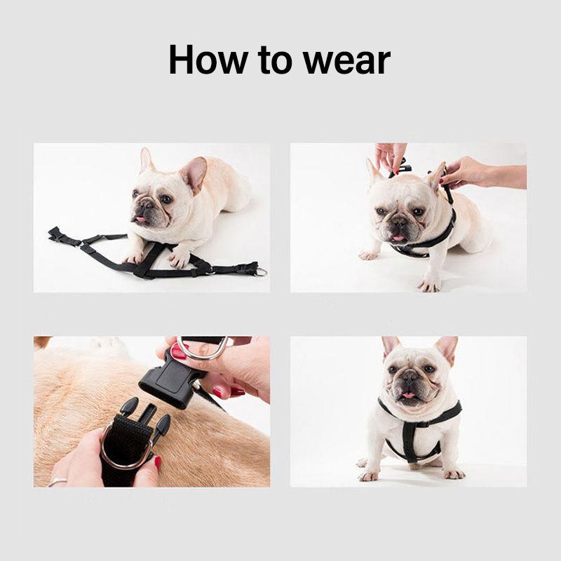 Reflective Dog Traction Rope Large, Medium and Small Dogs Dog Leash Rope Dog Walking Rope Collar Collar Chest Harness Puppy Supplies