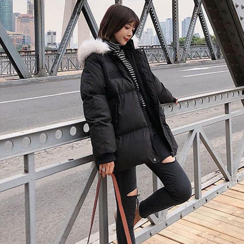 Parka Short Winter Jacket Women Hooded Winter Coat Women Loose Parka Fur Collar Cotton Padded Jacket