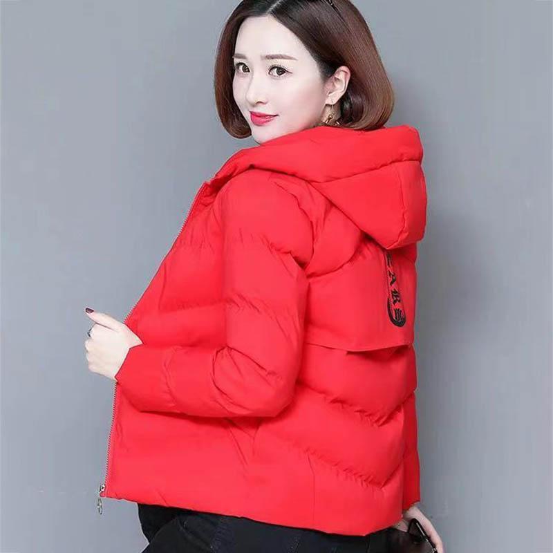 Cotton-padded Jacket Women's Winter Short Down Down Padded Jacket To Keep Warm with A Small Hooded Coat