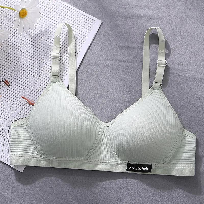 Korean Version of Pure Cotton Skin-friendly Breathable Sweat-absorbing Thread Thin No Steel Ring Small Chest Gathered Women's Underwear Bra