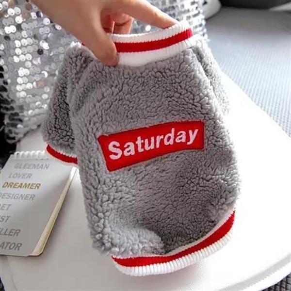 Pet Bichon Schnauzer Small Dog Teddy Puppy Dog Clothes Fall Winter Clothes Tide Brand Two-legged Clothes Sweater