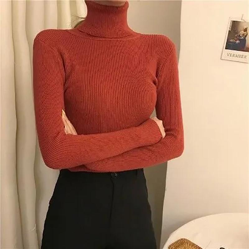 Turtleneck Sweaters Women Autumn Winter High Neck Pullover Sweaters Knitted Jumpers Solid Casual Slim Long Sleeve Basic Tops