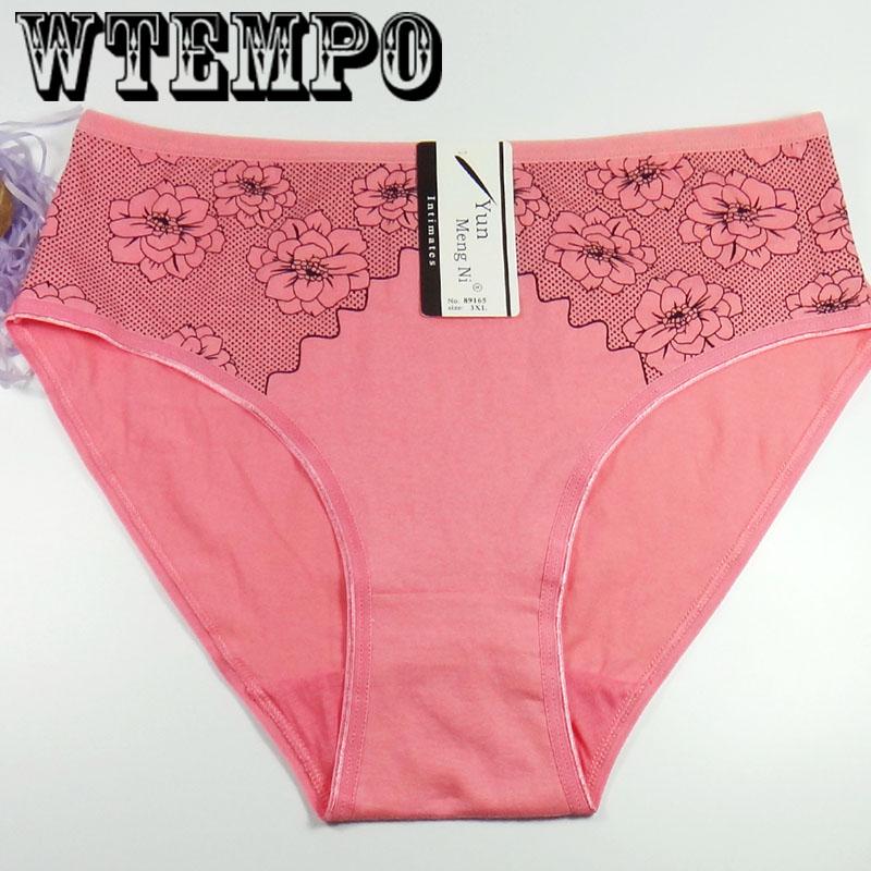 6 Pcs/Lot Plus Size Women Underwear Panties Seamless Sexy Briefs Panties for fat women cotton