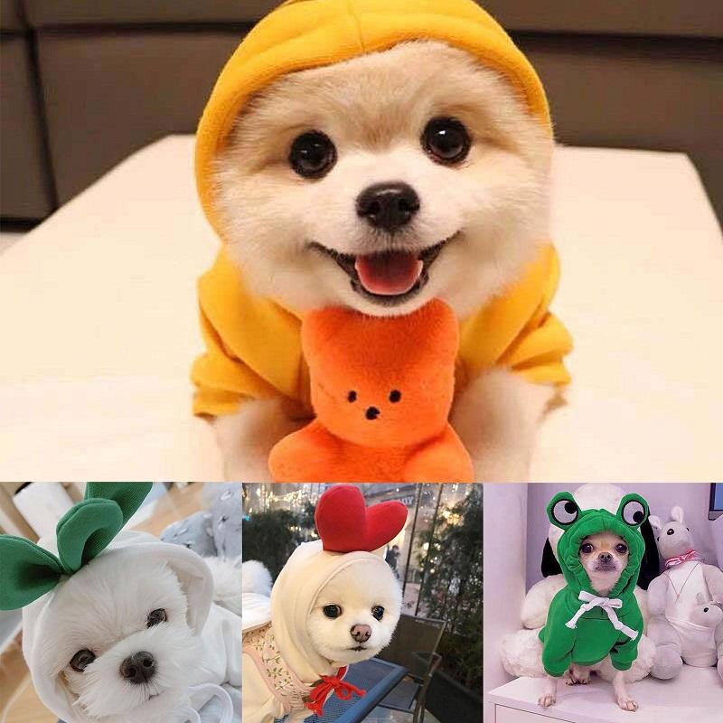 Dog's Winter Clothes Cute Fruit Dog Coat Hoodies Pet Dogs Costume Jacket Carrot Banana Fog Puppy Drawstring Hoodie Pet Warm Clothing Jumpsuit Outwear