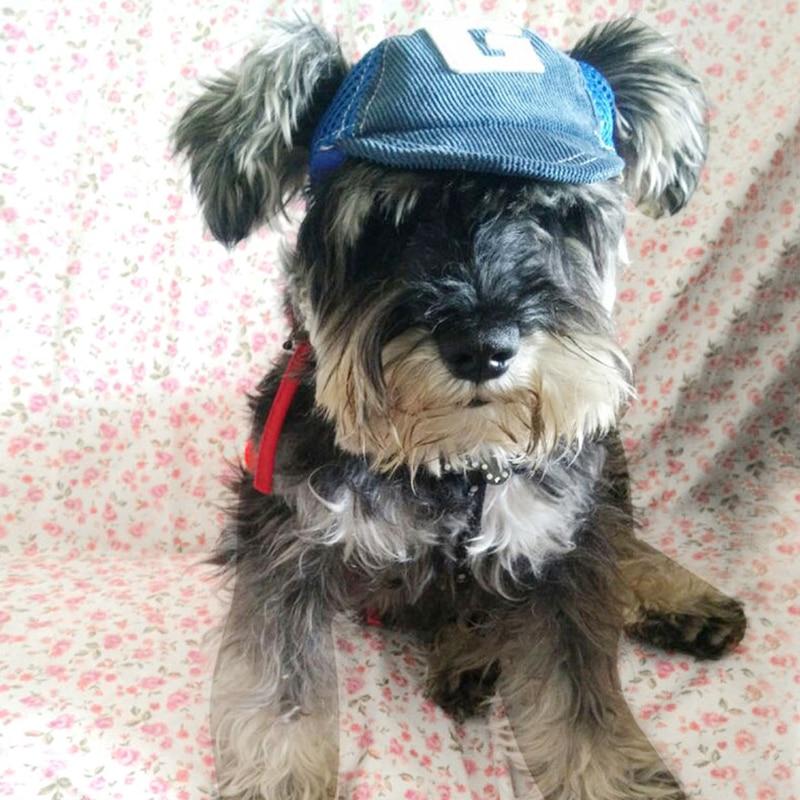 Pet Dog Hats Breathable Cute Baseball Sun Cap with Ear Holes for Small Medium Large Dog Outdoor Accessories Hiking Sports